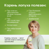 Корень Лопуха в капсулах экстракт 60 шт Корень Лопуха в капсулах экстракт 60 шт